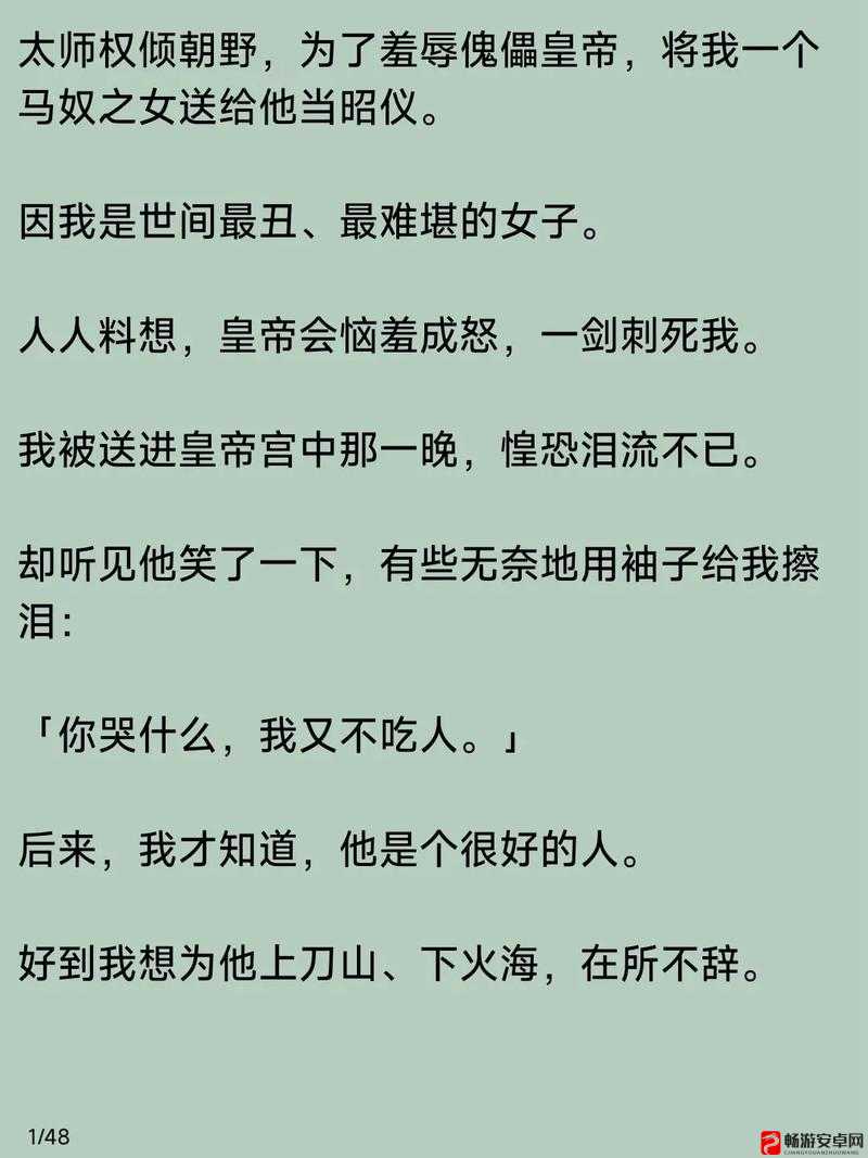 权倾朝野的 H 将军和皇上不得不说的故事